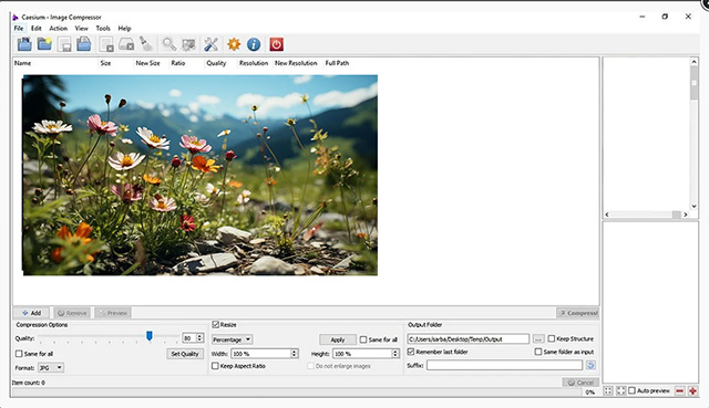 Скриншот программы Caesium Image Compressor