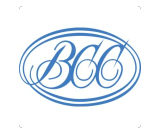 Пресс-конференция Всероссийского Союза страховщиков по презентации нового исследовательского продукта «Индекс Застрахованного»