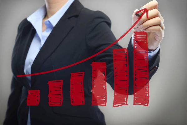 Система как драйвер роста бизнеса