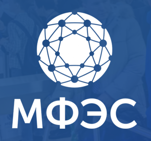 Электрические сети (МФЭС 2024)