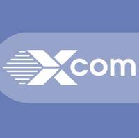 Оптимизация IT-расходов в импортозамещении: роль RUDESKTOP