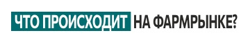 Что происходит на фармацевтическом рынке? Кросс-функциональное взаимодействие в цифровом контуре 2025