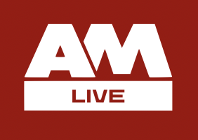 Цифровая устойчивость: теория и практика