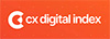 CX Digital & Distant Index '25