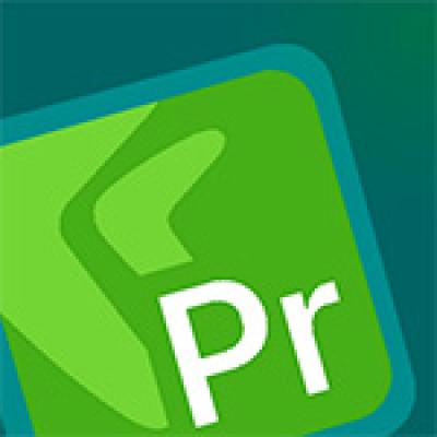 Быстрый переход от ручного ведения проектов к системному подходу с Directum Projects