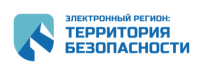 Электронный регион: территория безопасности 2026