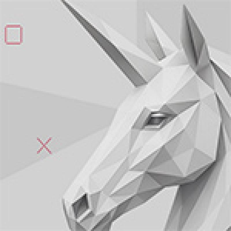 Unicorn Case Study: Function