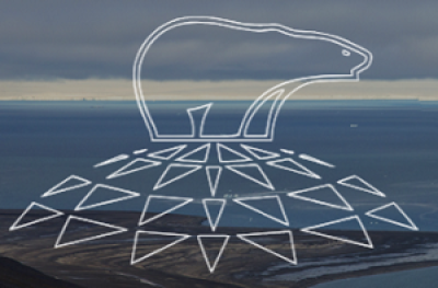 Арктические исследования: от экстенсивного освоения к комплексному развитию