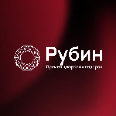 Церемония вручения отраслевой премии «Рубин» в области фармацевтического маркетинга