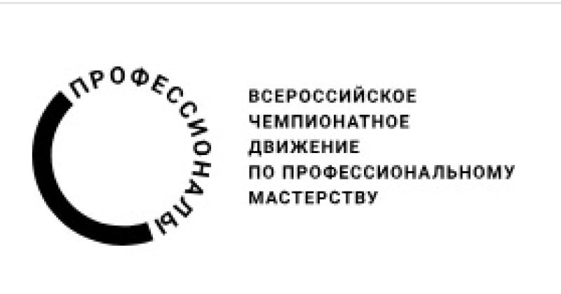 Профессионалы 2026. Финал