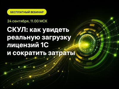 СКУЛ: как увидеть реальную загрузку лицензий 1С и сократить затраты