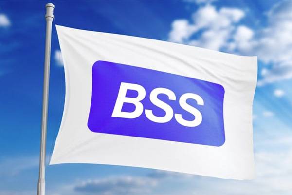 bss_flag.jpg