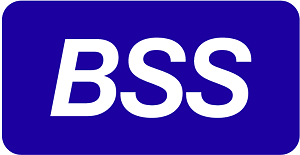 BSS.png