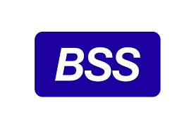 bss.png