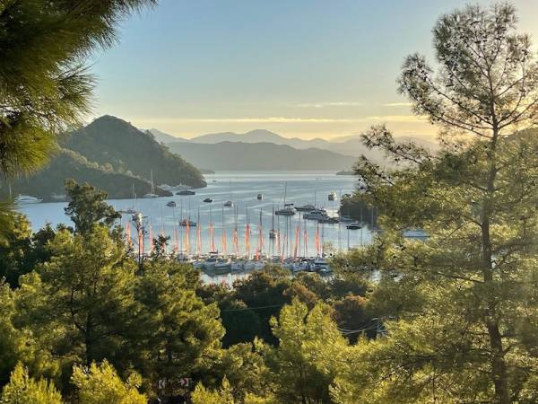 WhatsApp Image 2025-10-07 at 21.35.44.jpeg