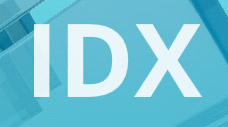 Системы управления идентификацией (IDX)