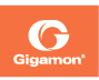 Gigamon.png