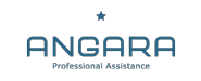 Angara Professional Assistance