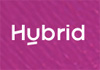 Hybrid.ai